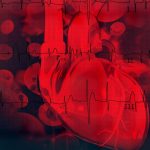 Human heart on scientific background