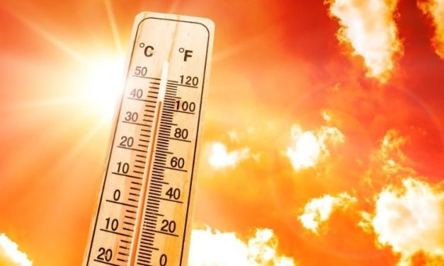 Heatwave Exposure Linked to Considerable Mortality Burden