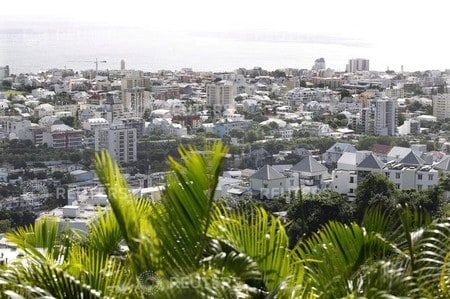 WHO says unprecedented dengue outbreak hits La Reunion