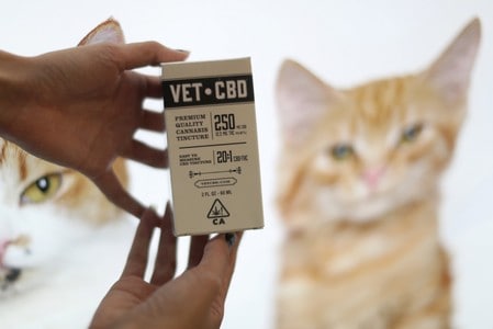 Pot for pets: U.S. federal law puts vets into a quandary