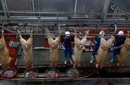 Virus hurts hopes of fatter returns for Russian pork producers
