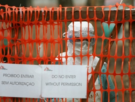 Sierra Leone fruit bats infected with Ebola-like Marburg virus