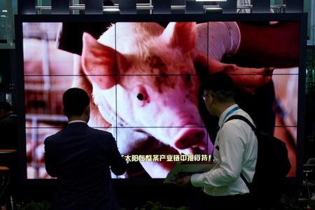 China’s pork imports to peak in 2022, driven by fatal swine fever: consultancy