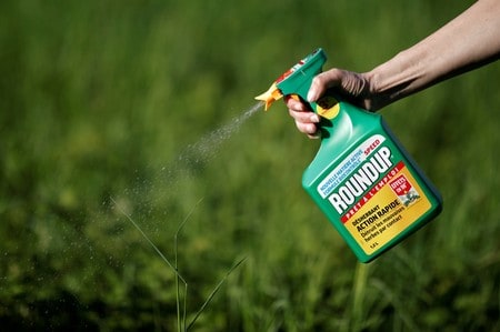 U.S. jury hears more evidence as second phase of Roundup cancer trial begins
