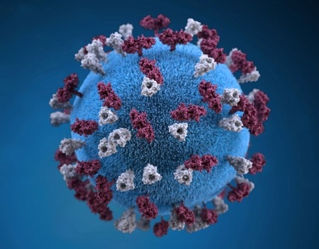 U.S. measles cases hit highest level since eradication in 2000