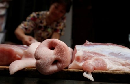 Vietnam swine fever cull surges, 1.7 million pigs dead