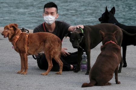 Quarantined dog tests negative for coronavirus in Hong Kong