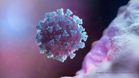 #PWChat Recap: Novel Coronavirus – What You Need to Know