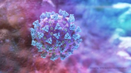 Cheap antibody test sent for validation in coronavirus fight