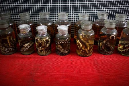 China snake village scales down as coronavirus prompts wildlife trade ban