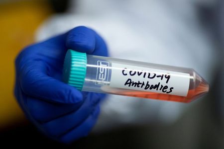 WHO unsure antibodies protect against COVID, little sign of herd immunity
