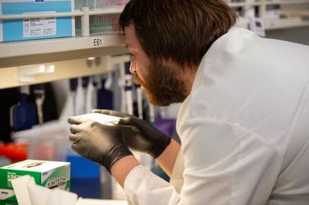 Beyond politics, gold-standard COVID-19 trials test malaria drug taken by Trump